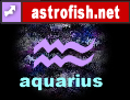 astrofish.net