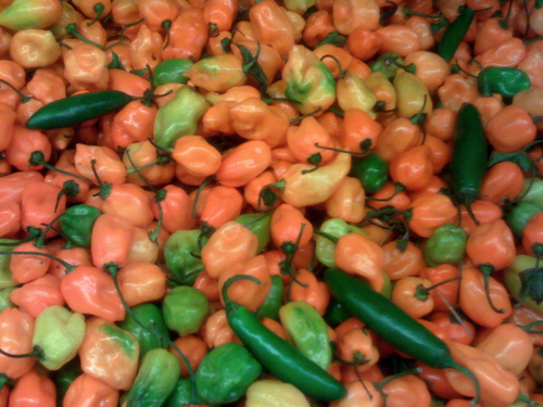 Hot Pepper pR0n