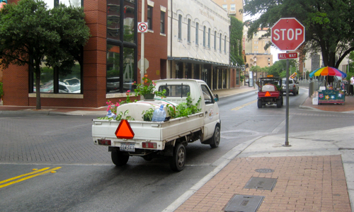 Downtown Watering