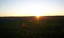 Bluebonnets at sun down