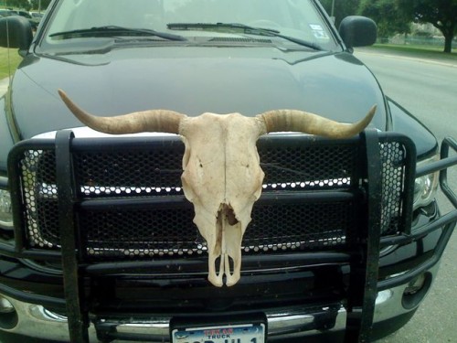 Long Horn Truck Bumper