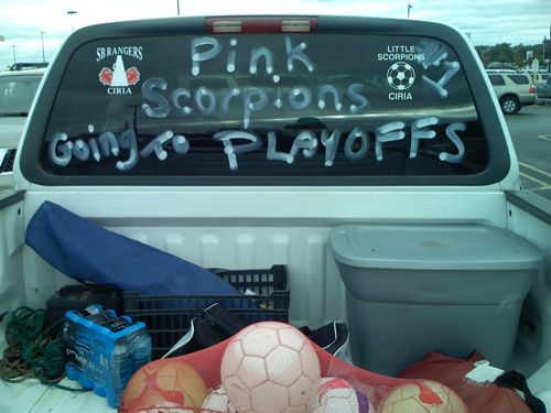 Pink Scorpions