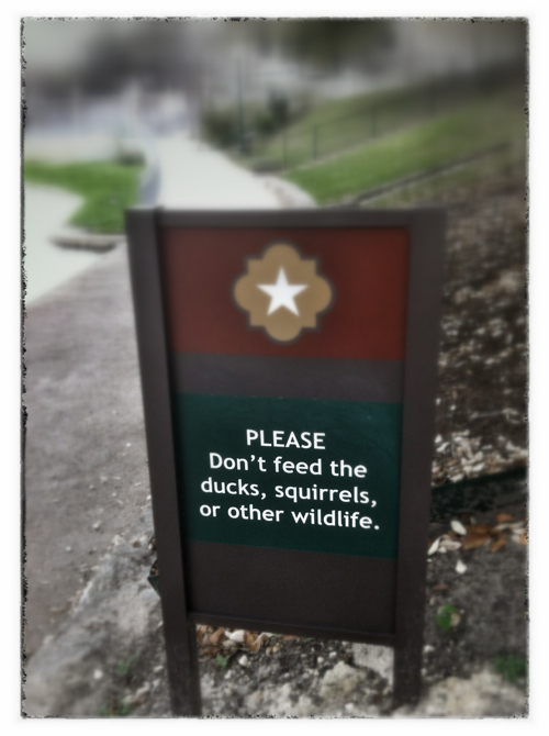 Please don't feed the wildlife