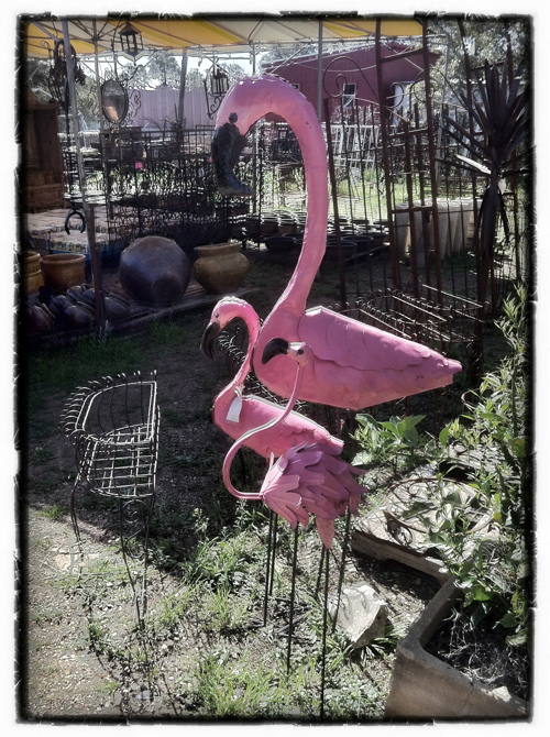 Pink Flamingo Metal