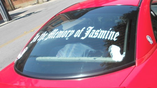 In Memory of Jasmine