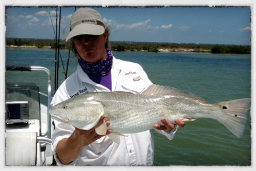 Big Redfish