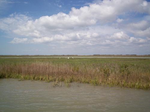 Fishing Laguna Madre