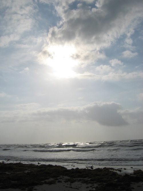 Winter Sun Beach Scene