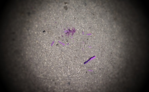 Death of Purple Prose