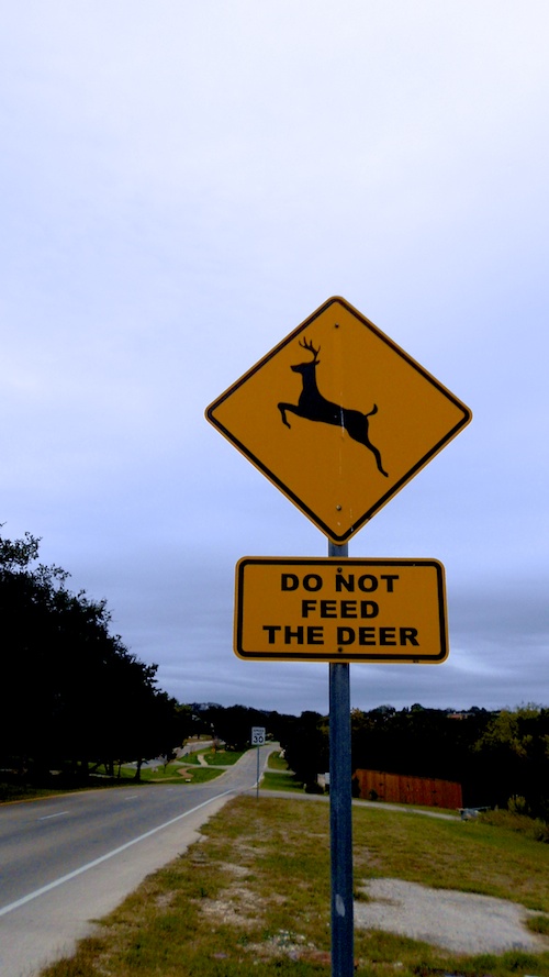 Do Not Feed the Deer