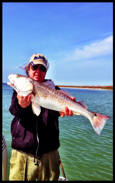 redfish