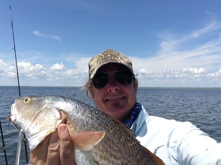 redfish