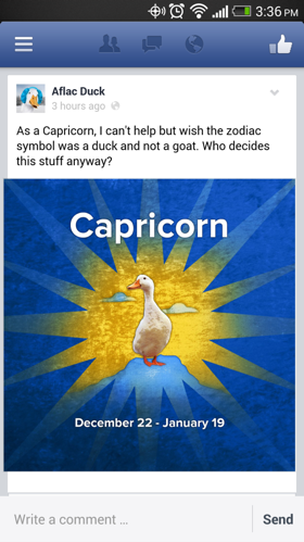 Capricorn