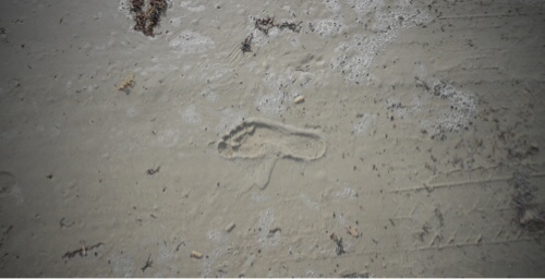 Barefoot in the Sand