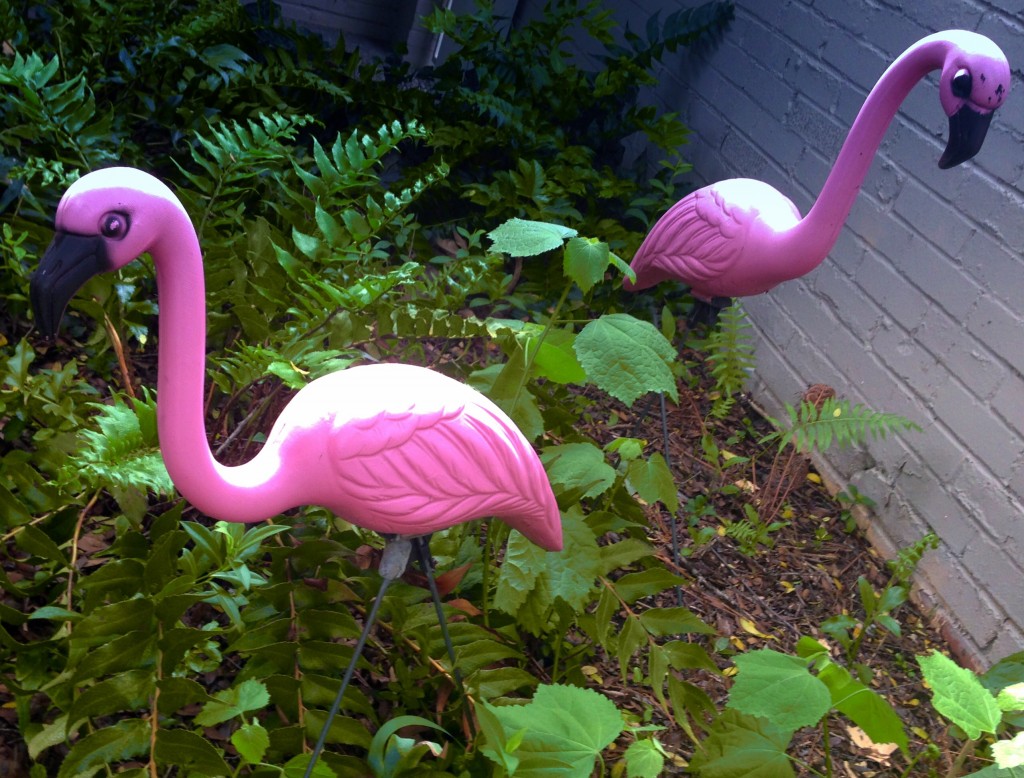 Dallas Pink Flamingo