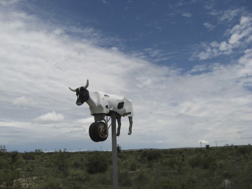 Roping Drone