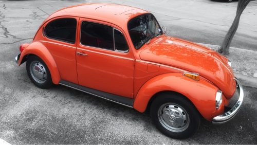 Orange Bug