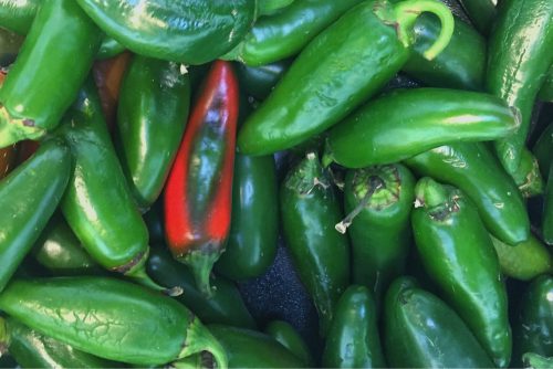 Jalapeno Bin