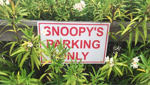 Snoopy's Parking Only