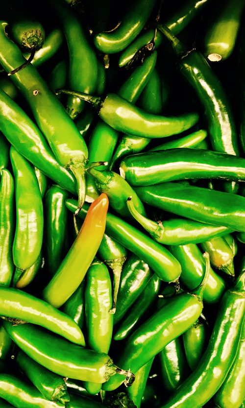 Serrano Peppers South