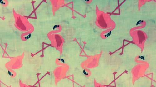 Pink Flamingo