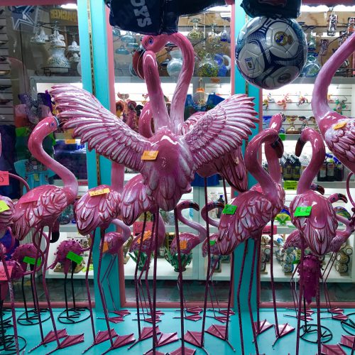 Flamingo Flock