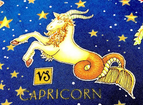 Capricorn 2017