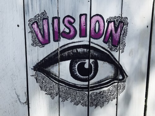 Vision