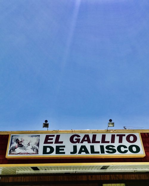 El Gallito