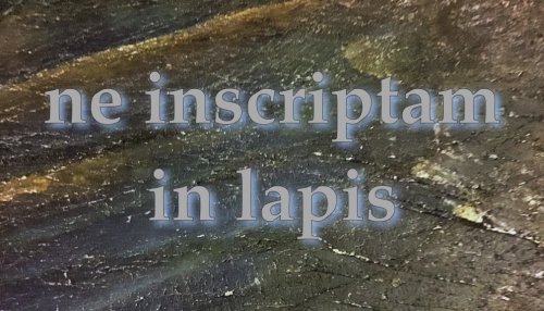 Ne Inscriptam in Lapis