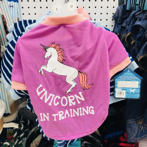 Baby Unicorn