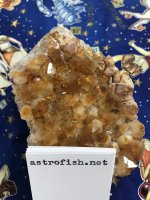 astrofish.net citrine