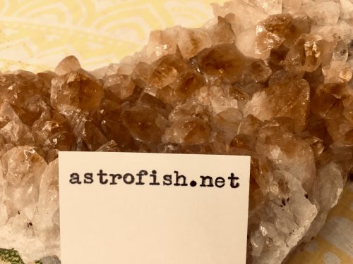 astrofish.net against citrine sample