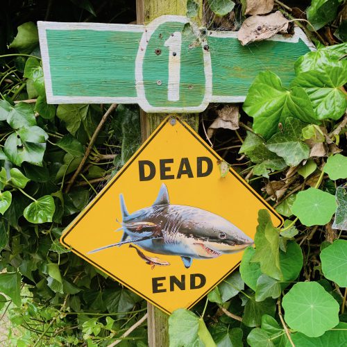 Dead End