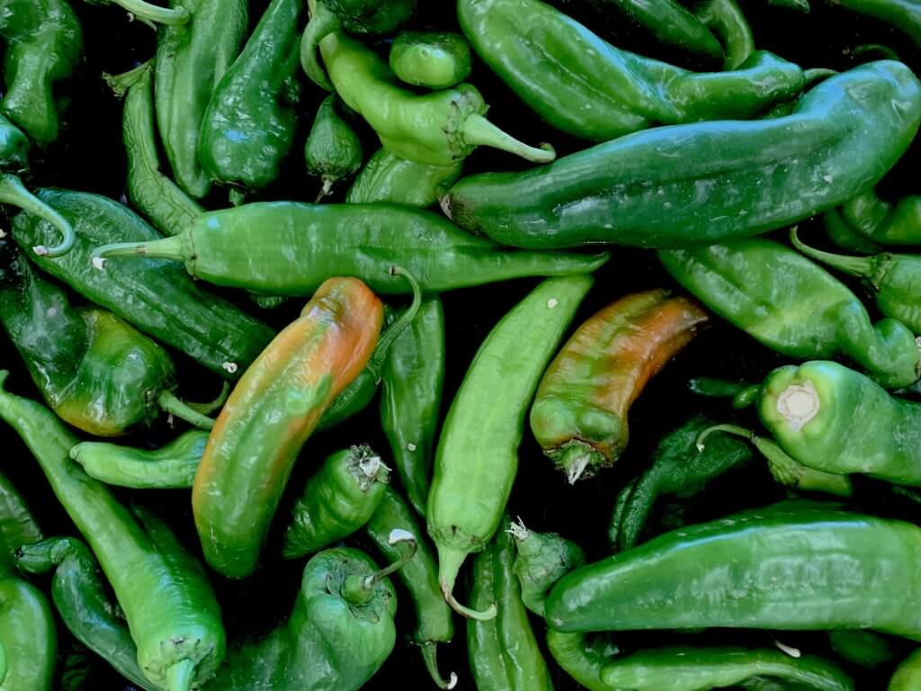 Hatch Peppers