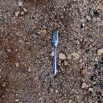 A fork in the road