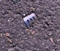 a fork in the road