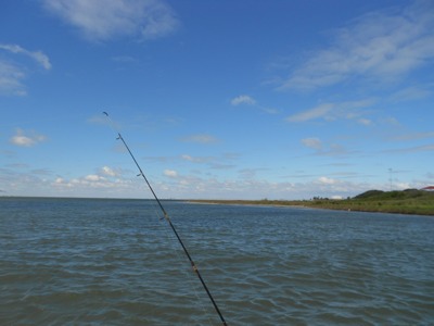 fish fish